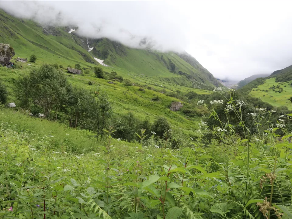 Photo of A Mesmerising Journey to the Sublime Valley of Flowers & Hemkund Sahib by Bharat Kevlani