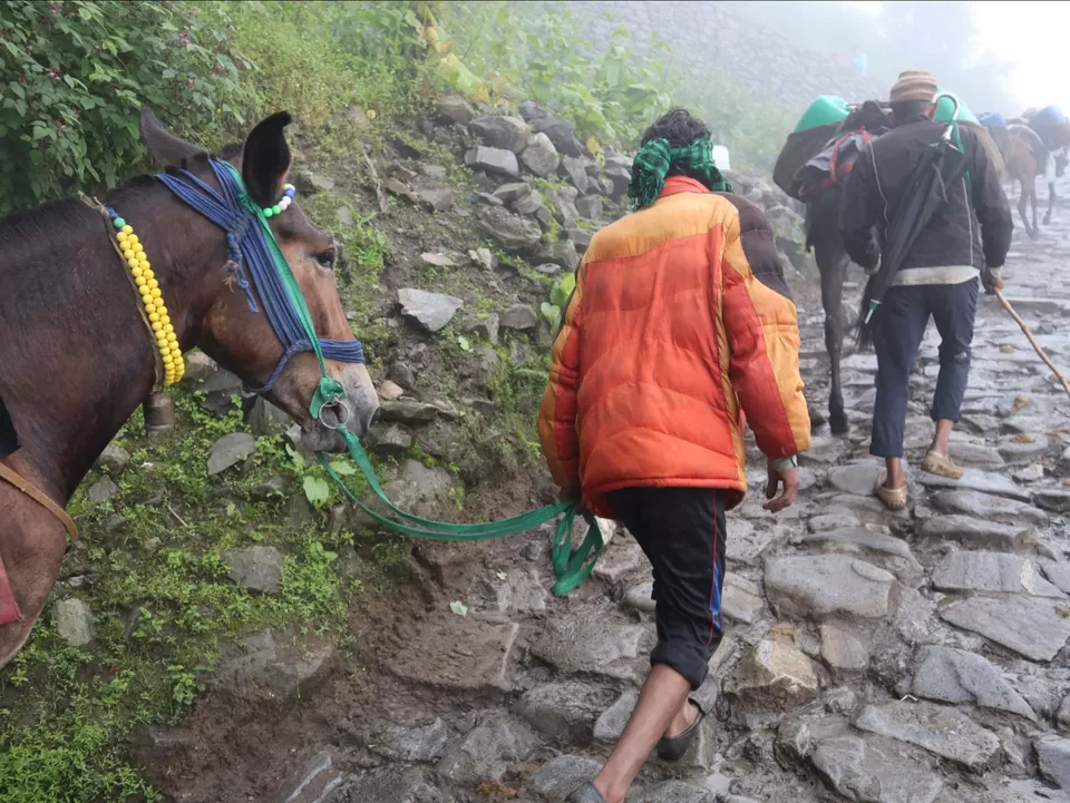 Photo of A Mesmerising Journey to the Sublime Valley of Flowers & Hemkund Sahib by Bharat Kevlani