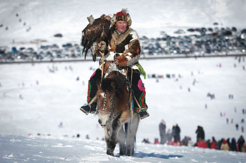Photo of Eagles Training Festival in Mongolia 1/1 by Dawnrichard