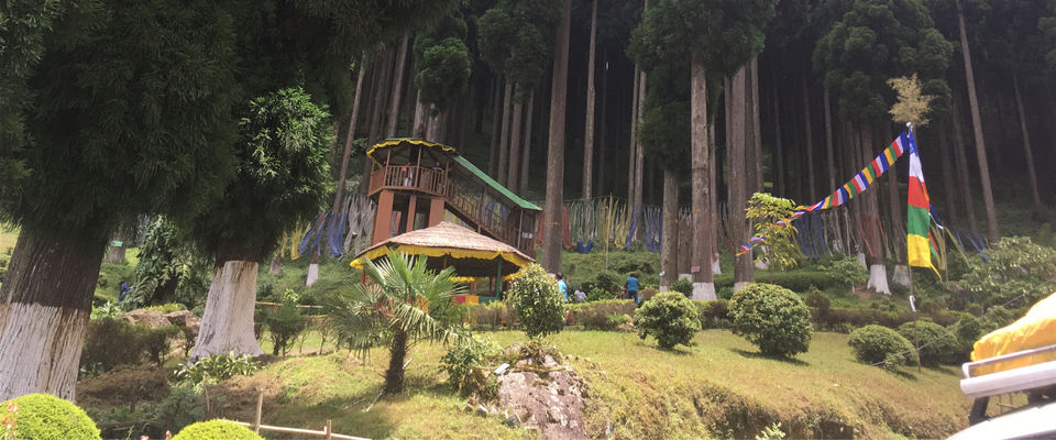Photo of Lamahatta Park, Tukdah, West Bengal, India by Atrayee Sam
