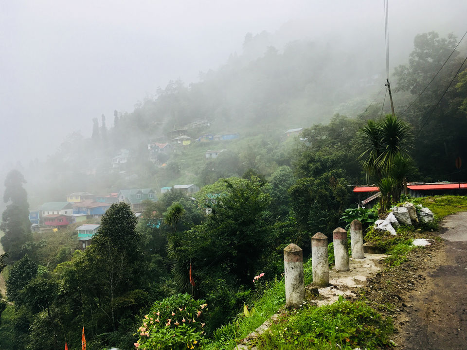 Photo of Rangaroong Tea Garden, West Bengal, India by Atrayee Sam