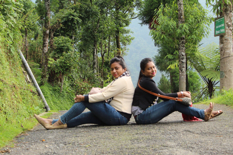 Photo of Rangaroong Tea Garden, West Bengal, India by Atrayee Sam
