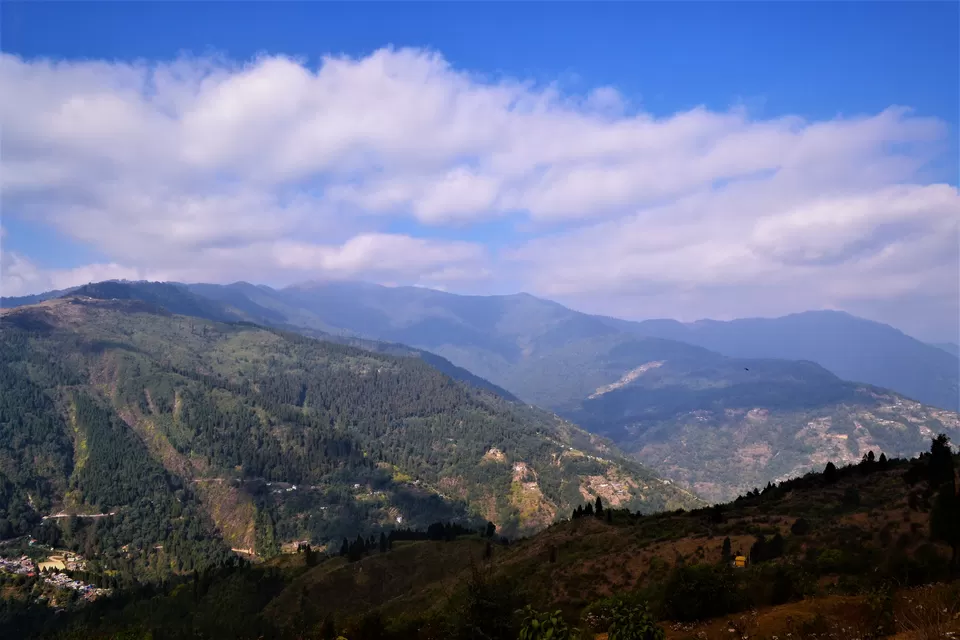 Photo of Orange Orchards & Quaint Homestays: North Bengal Has More Surprises Than Your Winter Vacay by Sayani