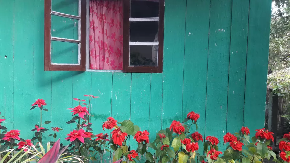 Photo of Orange Orchards & Quaint Homestays: North Bengal Has More Surprises Than Your Winter Vacay by Sayani
