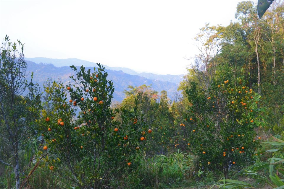 Photo of Sittong Khasmahal, West Bengal, India by Sayani