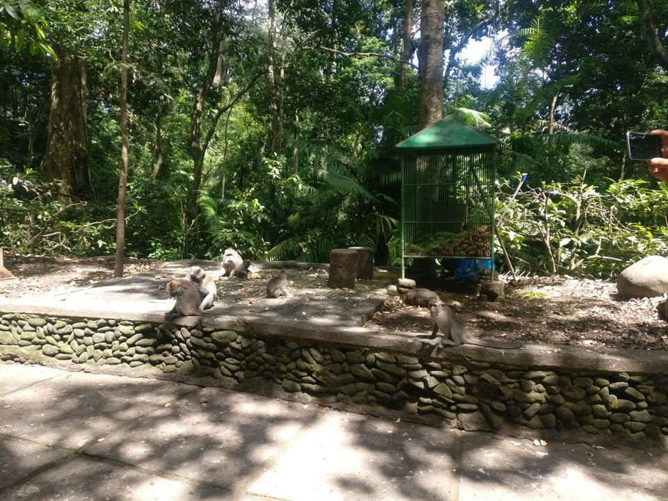Photo of Jalan Monkey Forest, Ubud, Gianyar, Bali, Indonesia by Monika Jhamnani