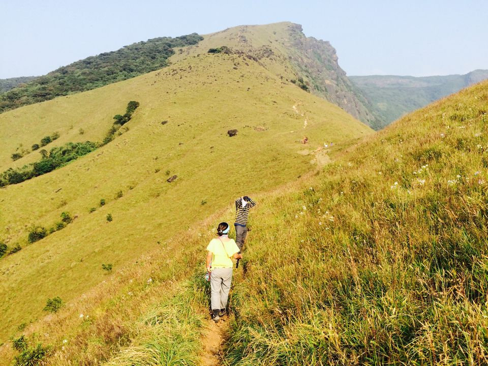 Photo of Unplanned Kumara Parvata Trek( Pushpagiri Peak ) by Amarpreet(Escapefortravel)