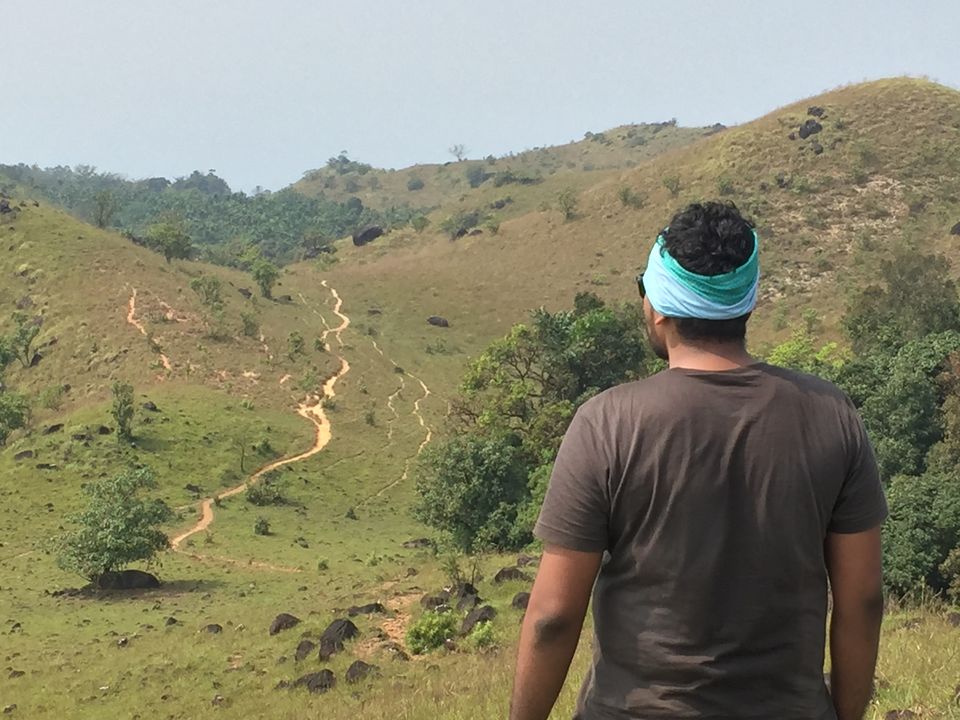 Photo of Unplanned Kumara Parvata Trek( Pushpagiri Peak ) by Amarpreet(Escapefortravel)