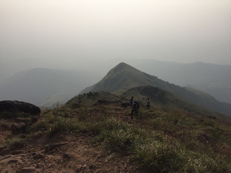Photo of Unplanned Kumara Parvata Trek( Pushpagiri Peak ) by Amarpreet(Escapefortravel)
