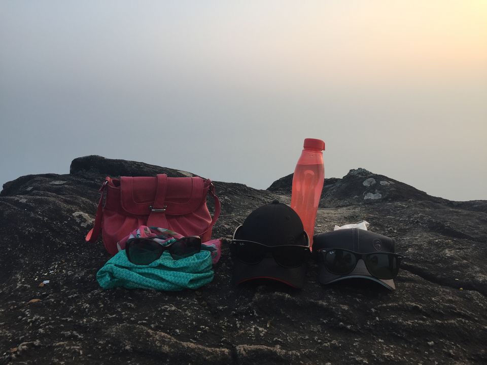 Photo of Unplanned Kumara Parvata Trek( Pushpagiri Peak ) by Amarpreet(Escapefortravel)