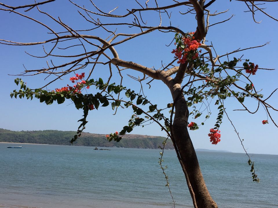 Photo of Belekan Road, Karnataka, India by Amarpreet(Escapefortravel)