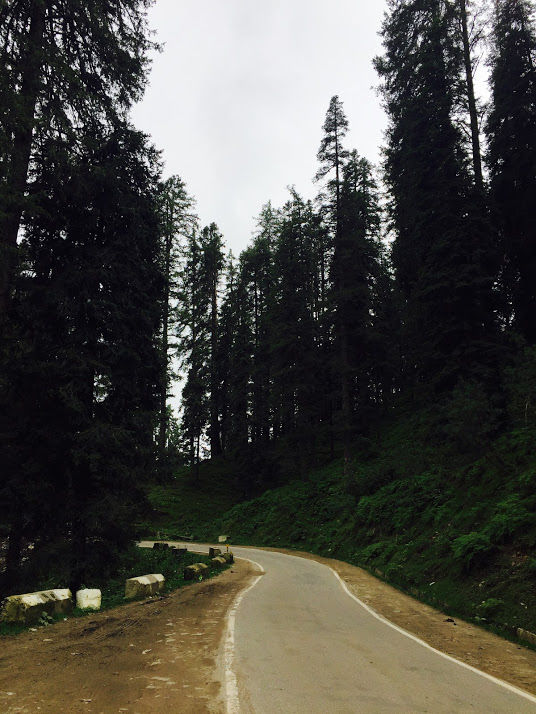 Photo of Narkanda, Himachal Pradesh, India by Amarpreet(Escapefortravel)