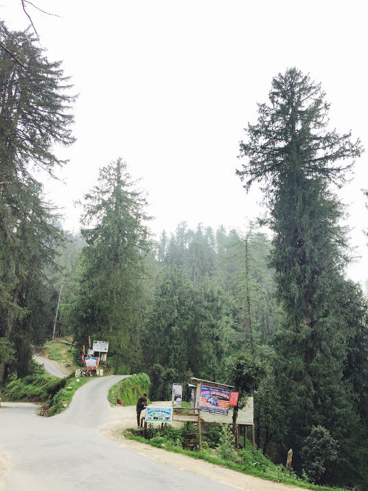 Photo of Hatu Peak, Himachal Pradesh by Amarpreet(Escapefortravel)