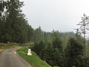 Photo of Narkanda: Unexplored Beauty of Hatu Peak by Amarpreet(Escapefortravel)