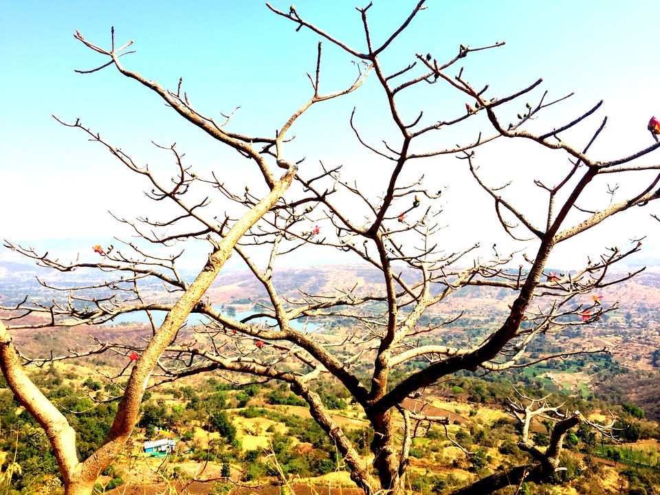 Photo of Tikona Fort: 7 hours with 7 Friends in unknown city #offbeatgetaway 3/16 by Amarpreet(Escapefortravel)