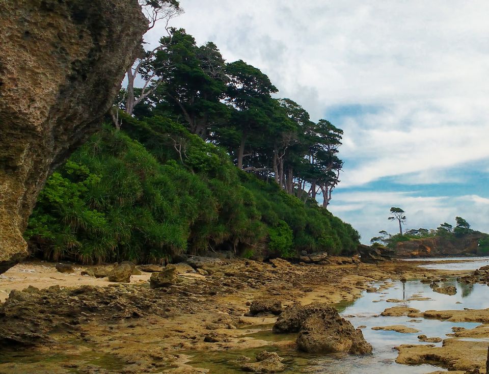 Photo of Why should you not miss this beautiful Neil Island of the Andamans? by Travelling Happily