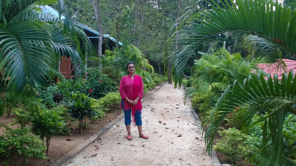 Photo of Why should you not miss this beautiful Neil Island of the Andamans? by Travelling Happily