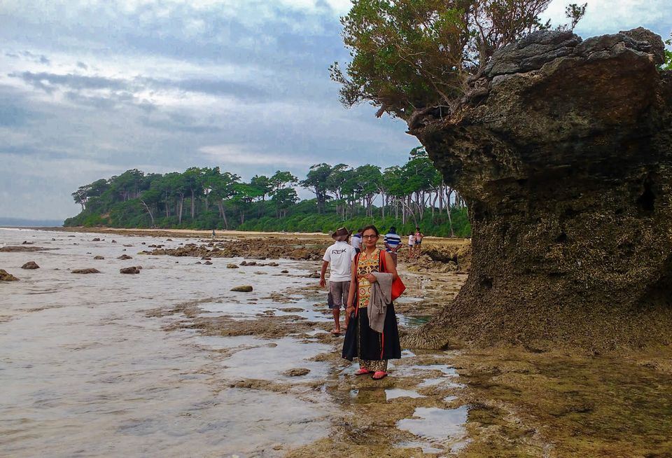 Photo of Why should you not miss this beautiful Neil Island of the Andamans? 2/3 by Travelling Happily