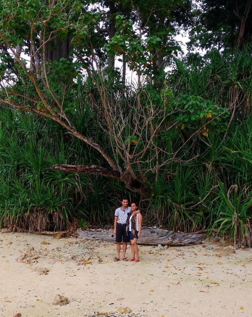 Photo of Why should you not miss this beautiful Neil Island of the Andamans? 3/3 by Travelling Happily