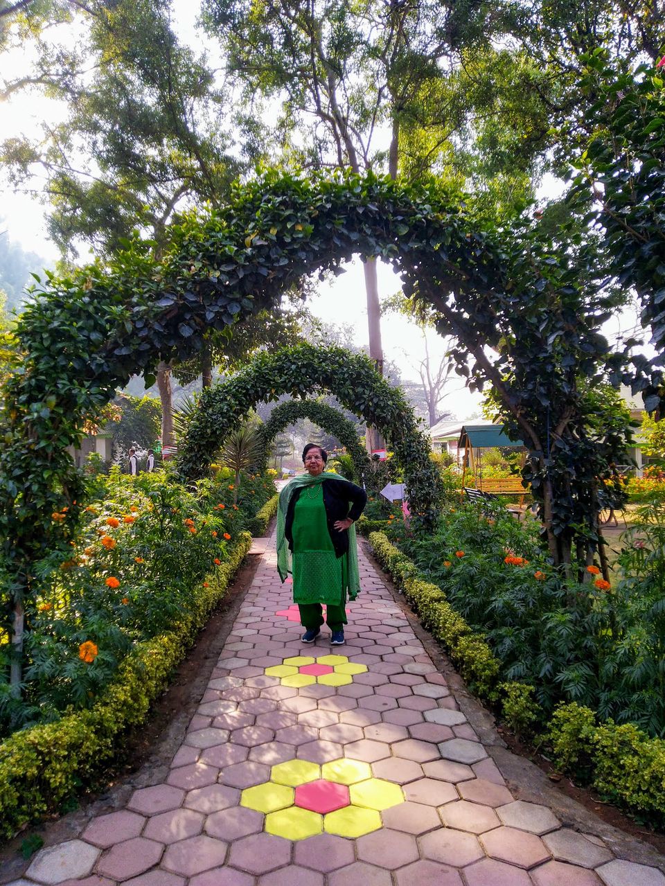 Photo of The only best guide you need to explore Satpura ki Rani - "Pachmarhi" by Travelling Happily