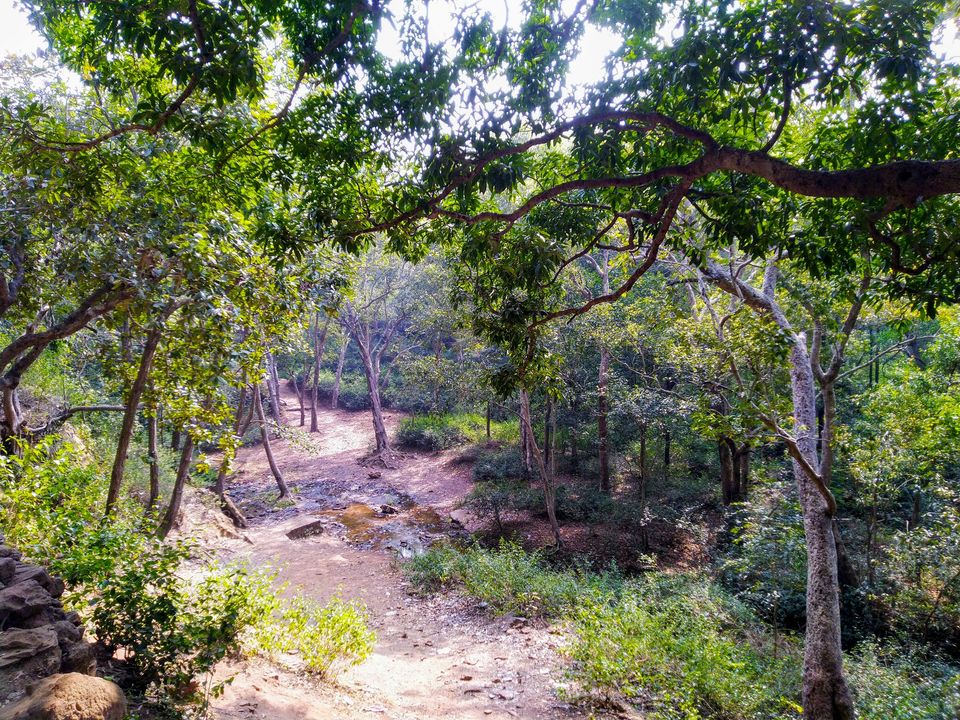 Photo of The only best guide you need to explore Satpura ki Rani - "Pachmarhi" by Travelling Happily