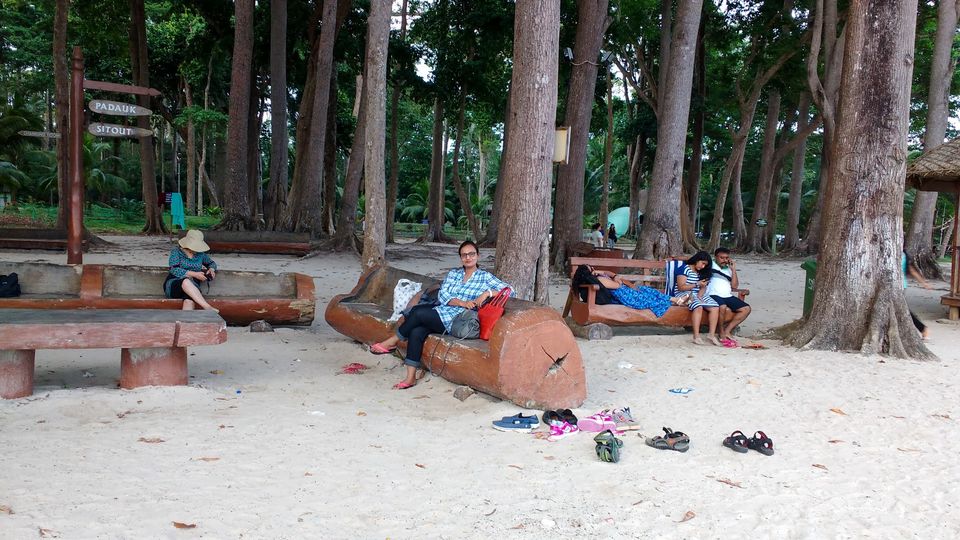 Photo of Havelock Islands - How to make the best of this gem of Andamans in budget by Travelling Happily
