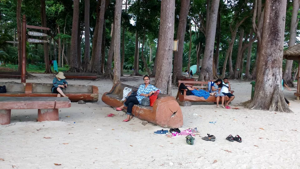 Photo of Havelock Islands - How to make the best of this gem of Andamans in budget by Travelling Happily