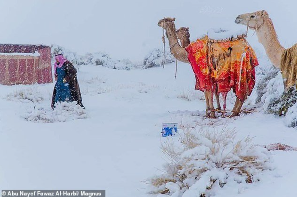 Photo of Saudi Arabia by Travelling Happily