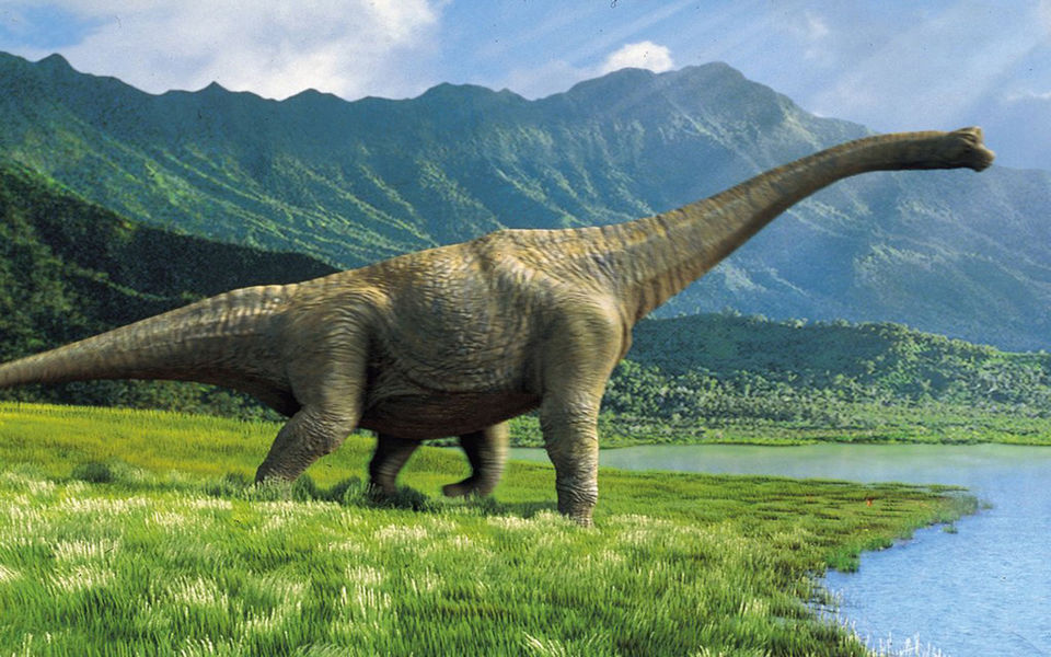 Photo of Dinosaur, as Long as a Basketball Court & as Tall as a Two-Storey Building Discovered in Australia! by Travelling Happily