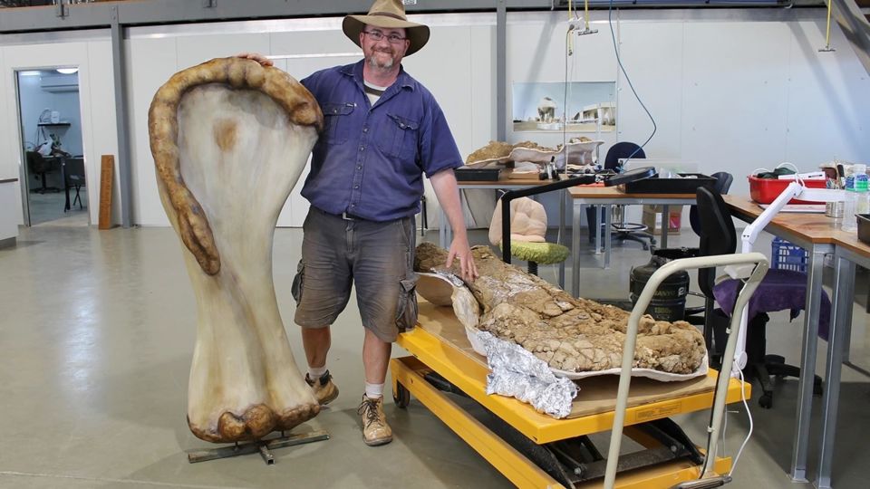 Photo of Dinosaur, as Long as a Basketball Court & as Tall as a Two-Storey Building Discovered in Australia! by Travelling Happily