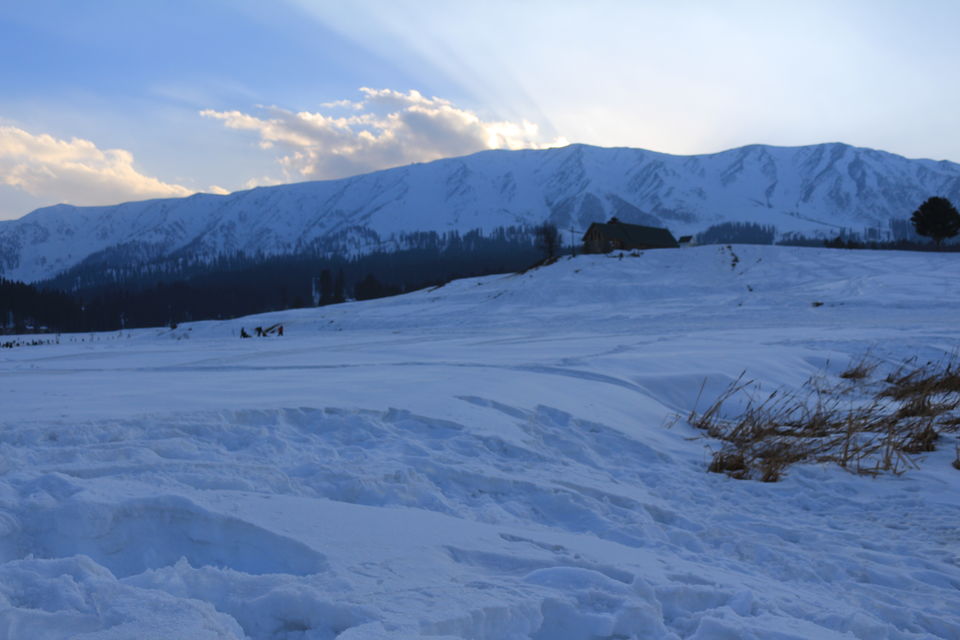 Photo of Three days in Gulmarg Kashmir 10/27 by MANISH SRIVASTAVA