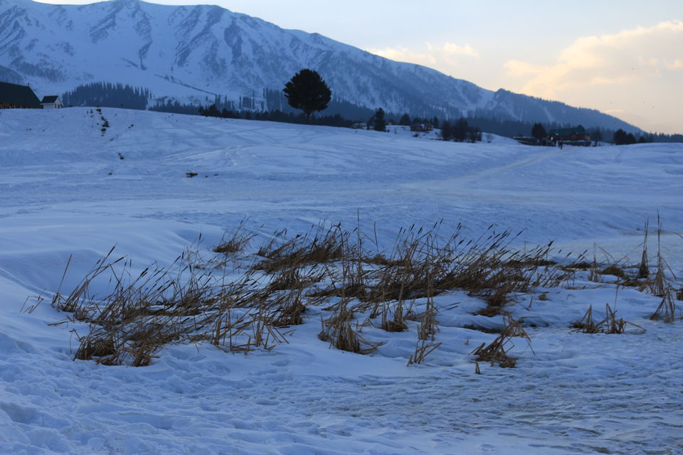 Photo of Three days in Gulmarg Kashmir 9/27 by MANISH SRIVASTAVA