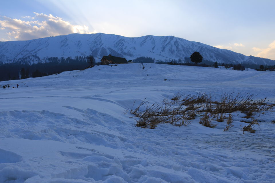 Photo of Three days in Gulmarg Kashmir 11/27 by MANISH SRIVASTAVA