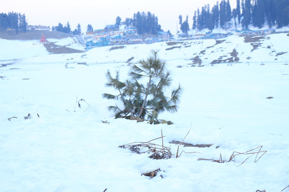 Photo of Three days in Gulmarg Kashmir 21/27 by MANISH SRIVASTAVA