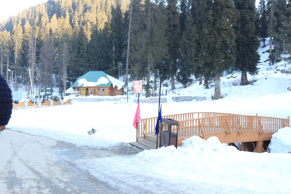 Photo of Three days in Gulmarg Kashmir by MANISH SRIVASTAVA