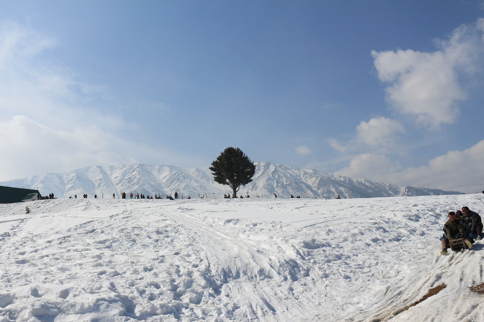 Photo of Gulmarg by MANISH SRIVASTAVA