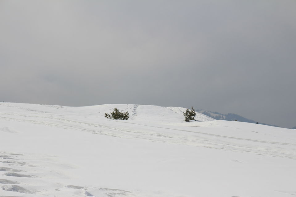 Photo of Gulmarg by MANISH SRIVASTAVA