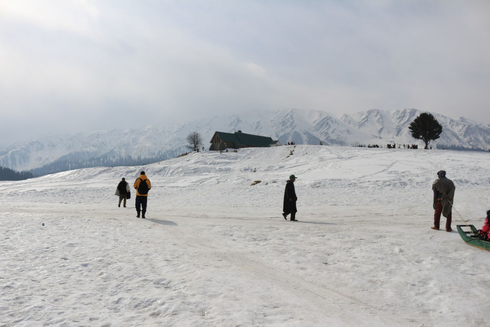 Photo of Gulmarg by MANISH SRIVASTAVA