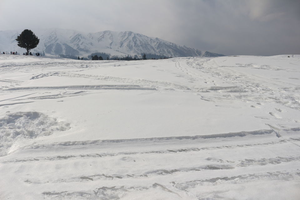 Photo of Gulmarg by MANISH SRIVASTAVA