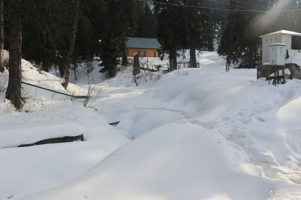 Photo of Gulmarg by MANISH SRIVASTAVA