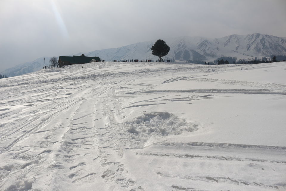 Photo of Gulmarg by MANISH SRIVASTAVA