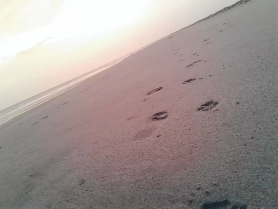 Photo of Coastal Trek - Modhva Beach to Mandvi Beach by Aishwarya Joshi