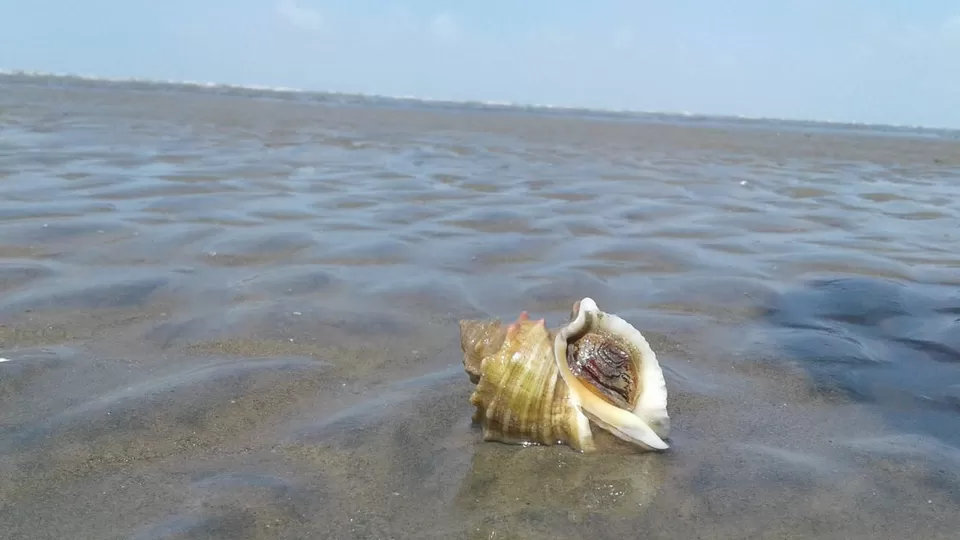 Photo of Kashi Vishwanath Beach, Mandvi Rural, Gujarat, India by Aishwarya Joshi