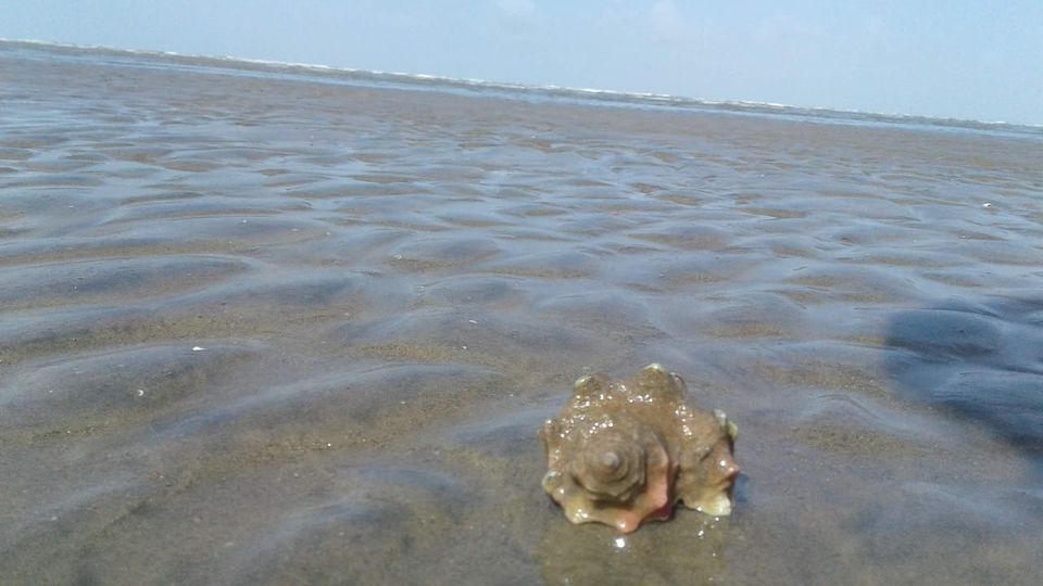 Photo of Kashi Vishwanath Beach, Mandvi Rural, Gujarat, India by Aishwarya Joshi