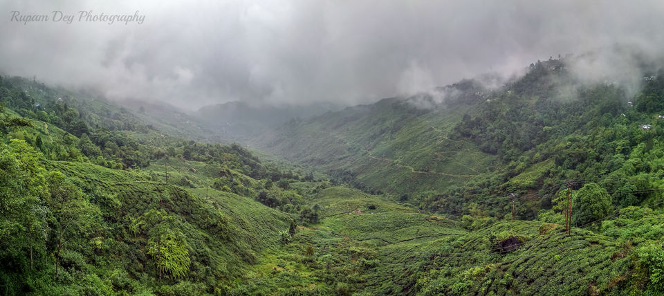 Photo of Kurseong - Land of the White Orchids 2/2 by Rupam Dey