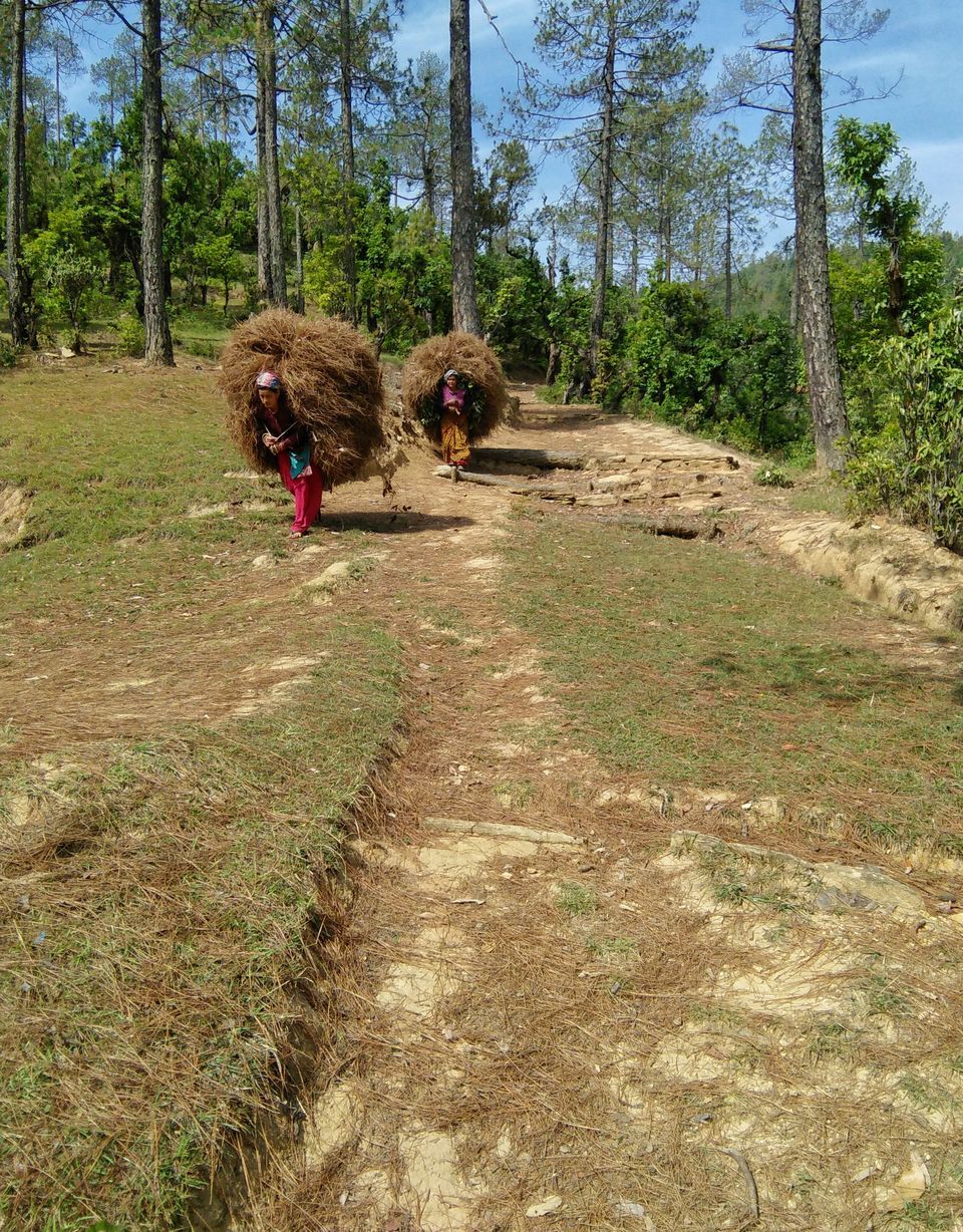 Photo of The Bedini Bugyal Trek by Salman Faris