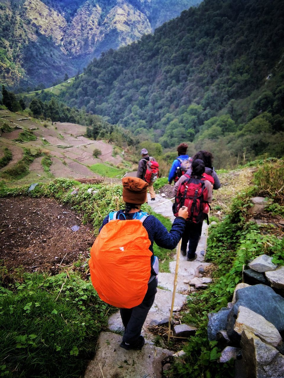 Photo of The Bedini Bugyal Trek by Salman Faris