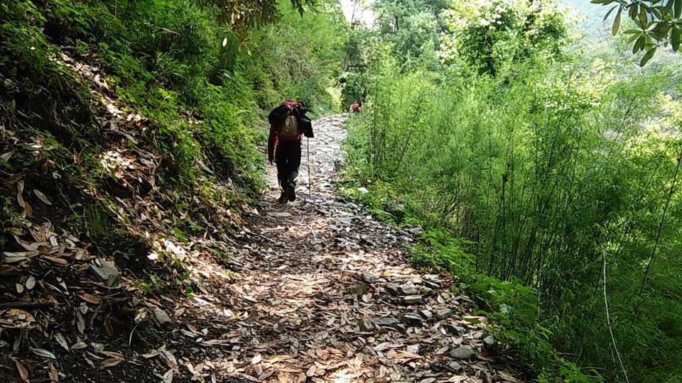 Photo of The Bedini Bugyal Trek by Salman Faris