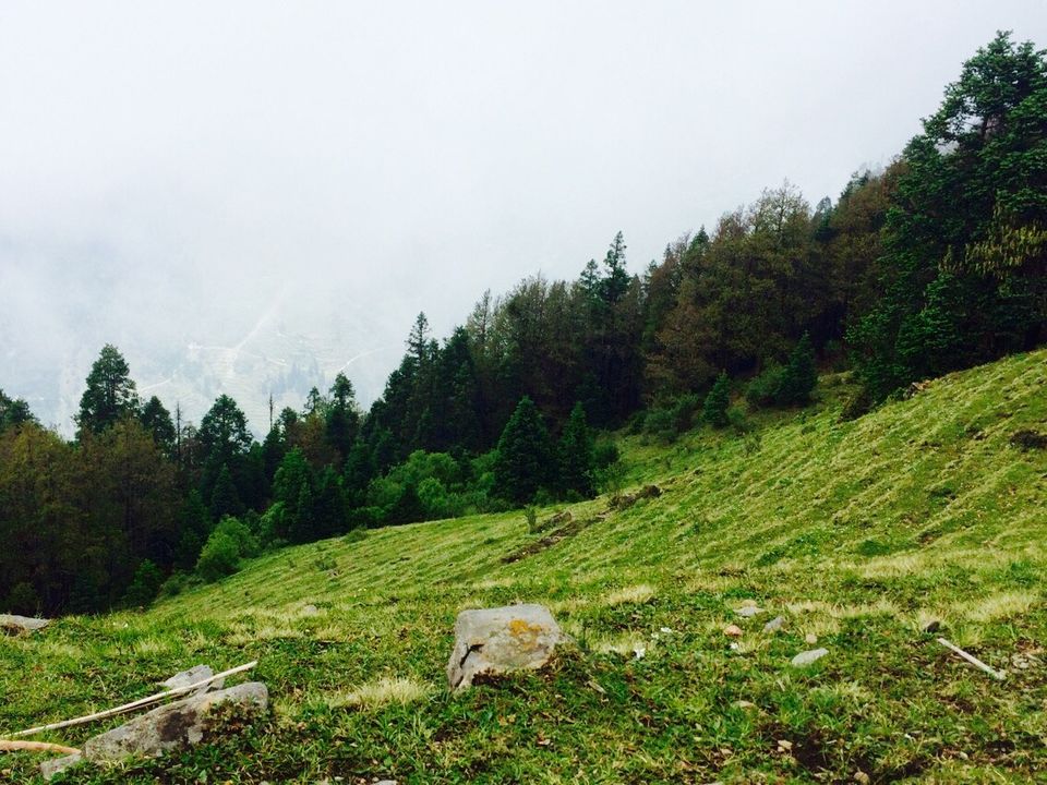 Photo of The Bedini Bugyal Trek by Salman Faris