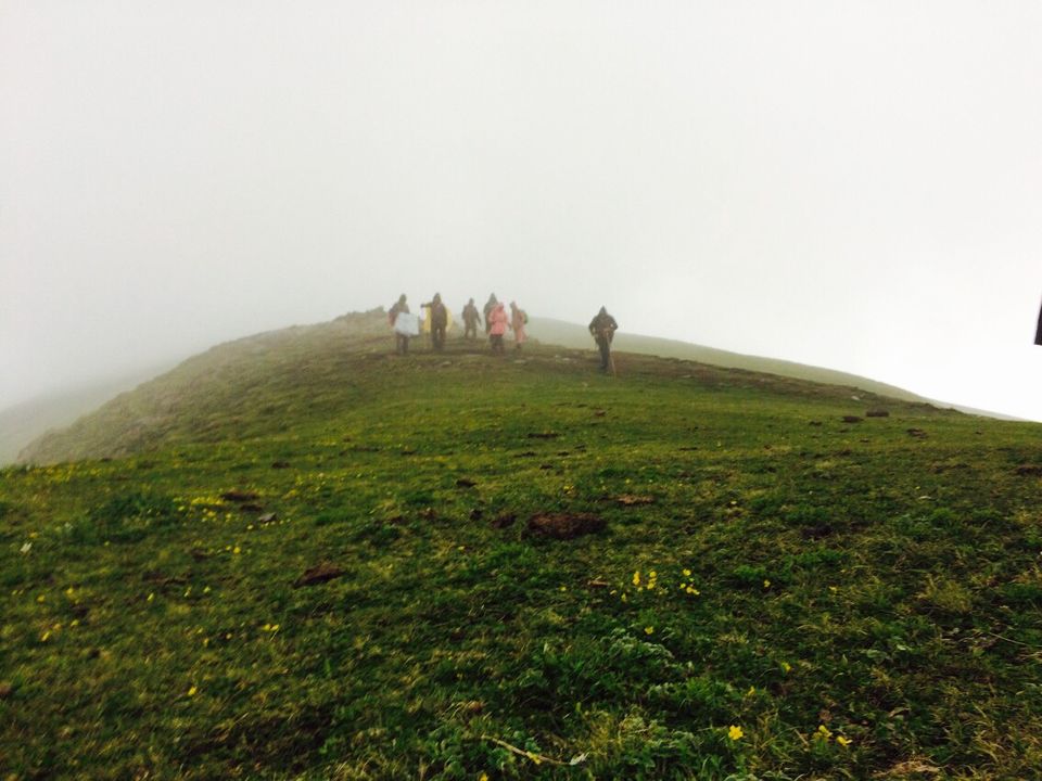 Photo of The Bedini Bugyal Trek by Salman Faris
